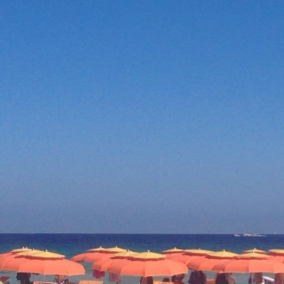 LaetGeronimi's profile picture. 