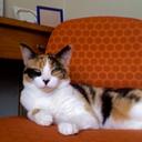 Maisy McLeod-Riera - @Amaisying - Twitter