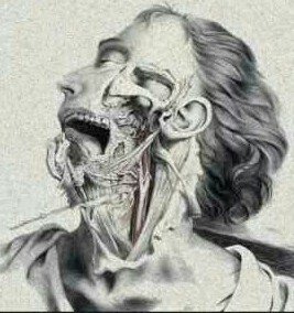 Vax_absent's profile picture. 