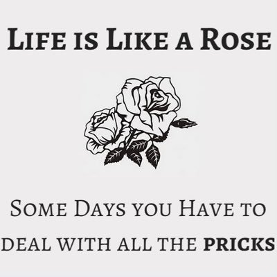 Mandy177865141's profile picture. 