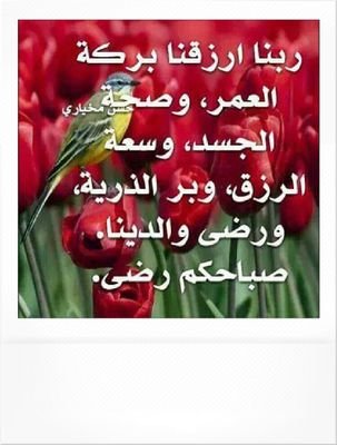 yusif34333's profile picture. 