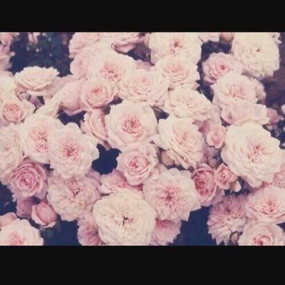 Hakimi20051's profile picture. 