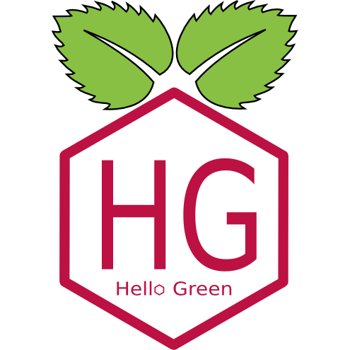 Our team Hello Green will participate to the #GCLChallenge on the 2,3,4 December in #Angers ! Think Greener, code Smarter. #GreenIT #COP21 #IoT #Mixité