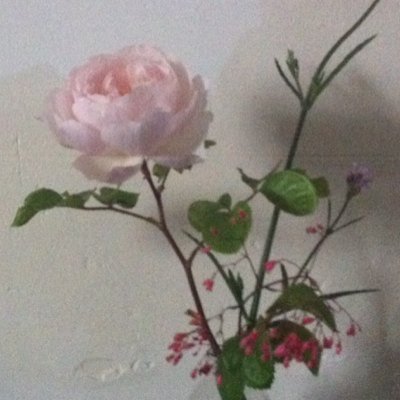 4ourinabed's profile picture. 