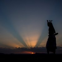 Bruce Stein (@bruste) 's Twitter Profile