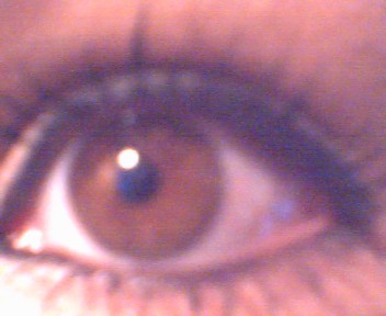 tzontzyca's profile picture. Just me !