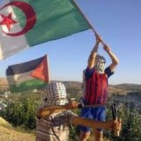 leila_layali (@leilaflora) 's Twitter Profile