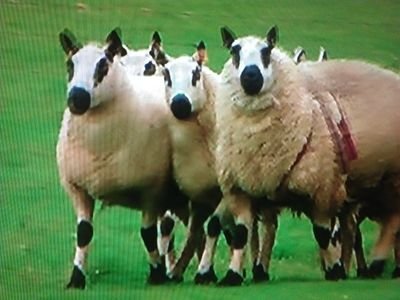 NumberTamara's profile picture. 