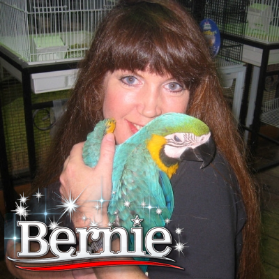 joyrider64's profile picture. 