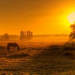 hrhss_mom's profile picture. 