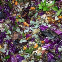 Woodside Sunnyside Composting (@sunnycompost) 's Twitter Profile