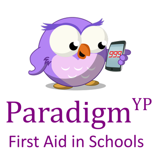Paradigm YP