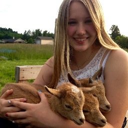 I'm just a blogger who loves homesteading, goats and show life.