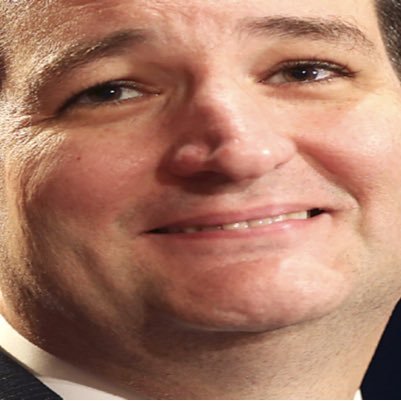 NoBonesTedCruz Profile Picture