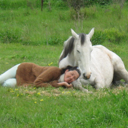 I'm totally healing, love to share the Technics I have developed over many years to inspire anyone on their healing path. Also to share the products I use.
