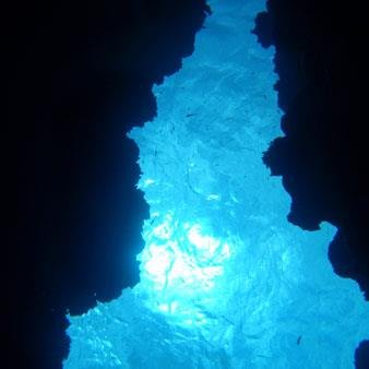 海の底から泡粒を見上げて