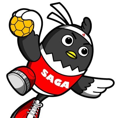 saga_handball Profile Picture