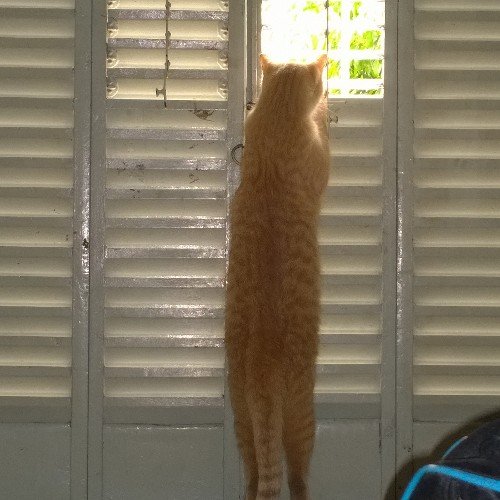 mimisila1709's profile picture. 