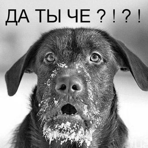 mazanboy's profile picture. 