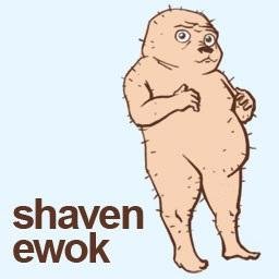 Shavenewok's profile picture. Hello!