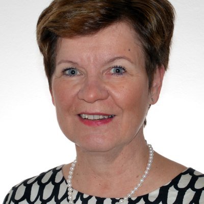Professor in health and human services informatics in Finland