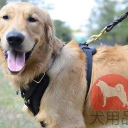 犬用品の海外通販です！日常使用から警察犬、ipo訓練までの用具！プロフェショナル犬グッズなら、お任せください！