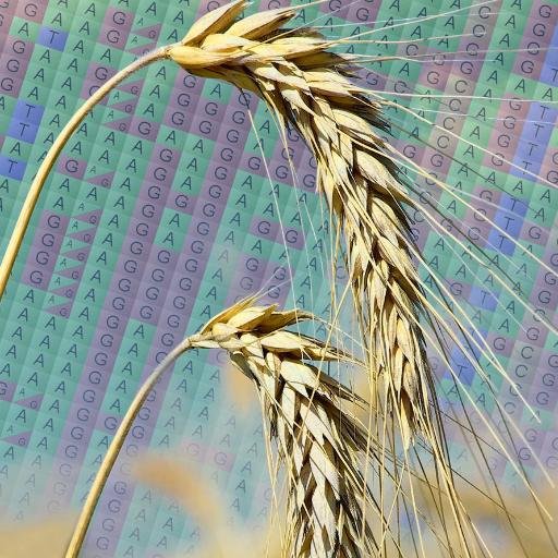 Cropgeeks Profile