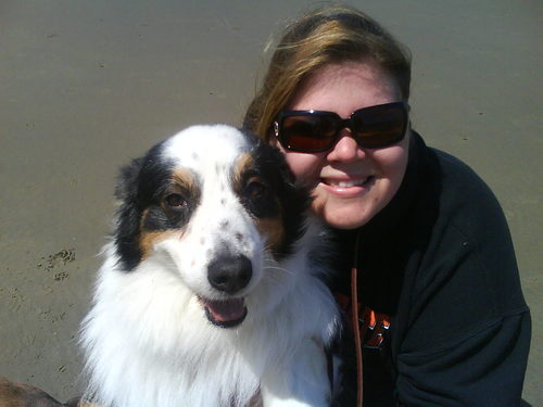 JenRourk's profile picture. Positive reinforcement dog trainer that actively competes in freestyle obedience and agility with australian shepherds and chihuahuas.