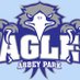 Abbey Park Hockey (@APHSHockey) Twitter profile photo