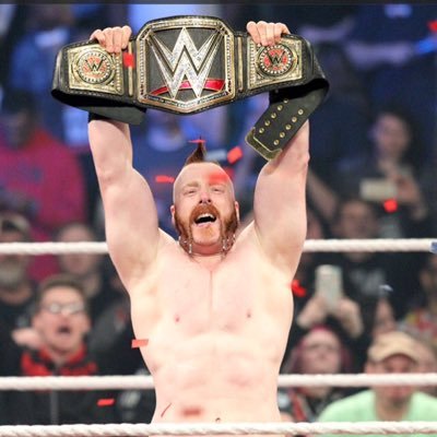 Massive fan of @wwesheamus , the 4x wwe world heavyweight champion! not to mention the most handsome fella in the wwe❤️ #celticwarrior #brogue