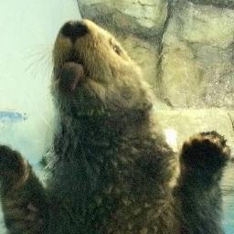 ぼのさんのプロフィール画像