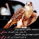 بعيد الهقاوي (@0561516) Twitter