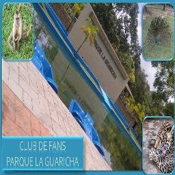 Somos amantes de la Naturaleza y los Animales
Ecologistas de corazón.