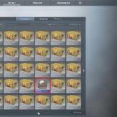 Mihai491's profile picture. 