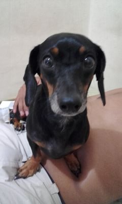 FrixonRamos's profile picture. 