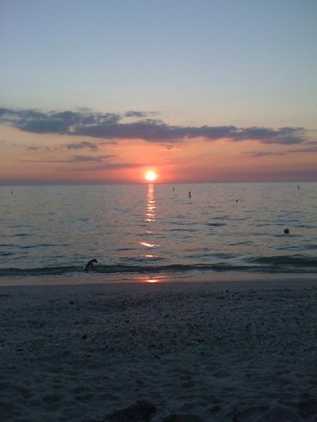 joellenk1's profile picture. 