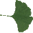 Gingko_fr's profile image