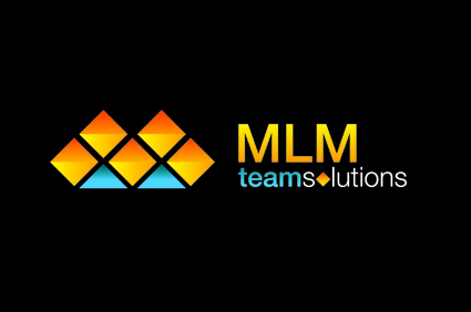 We provide MLM team solutions and consulting to companies and leaders with large network marketing organizations