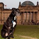 Jenna Berlin - @JennaDaDog - Twitter