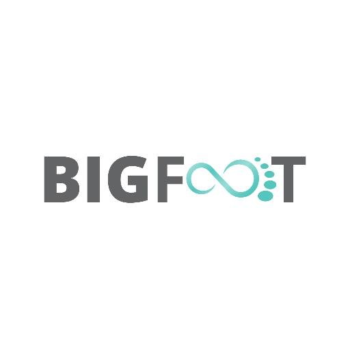Bigfoot Digital is a hybrid digital agency combining the best of a traditional digital agency and an online direct response firm.