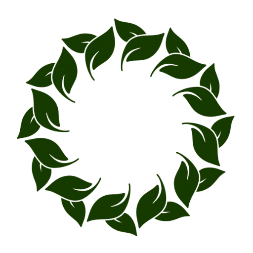 sadafiia's profile picture. 