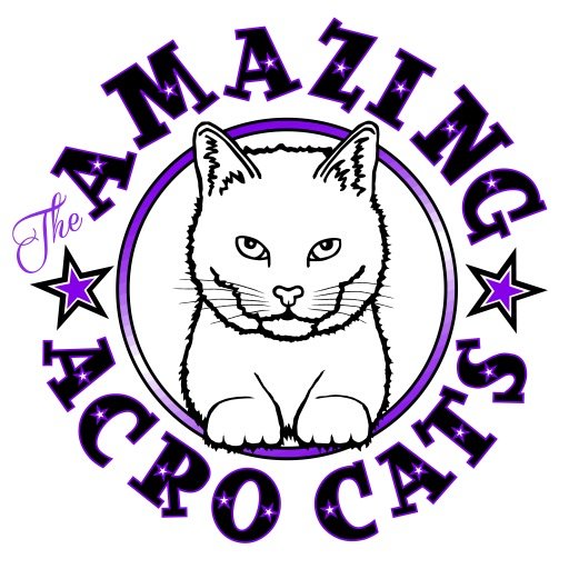 Saving cats through whistle & clicker training, fostering & rescue! Follow @jaxacrocat & @bugglesdacat
#acrocats #rockcatsrescue