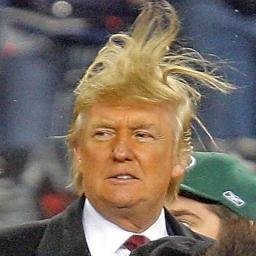 TrumpPorn's profile picture. Everything hot and steamy about the Donald. Parody account for legal reasons.