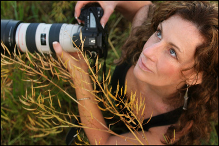 celestephotoart's profile picture. photographer,artist,lover of the double vodka-cran extra lime