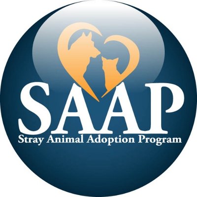SAAP (@SAAPnation) / Twitter SAAP (@SAAPnation) / Twitter