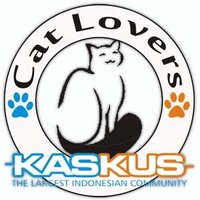 Cat Lovers Kaskus(@catloverskaskus) 's Twitter Profile Photo