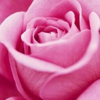. (@tamwel_1) Twitter profile photo