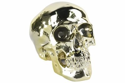 lofgren_janne's profile picture. Åsiktsmarodör