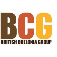 BritishCheloniaGroup(@BritishChelonia) 's Twitter Profileg