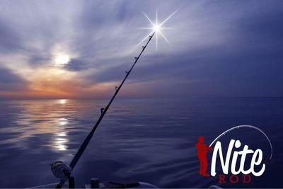 Introducing NEW LIGHTED FISHING ROD!! 
Perect for Night Fishermen.
Pre Order Yours Now!